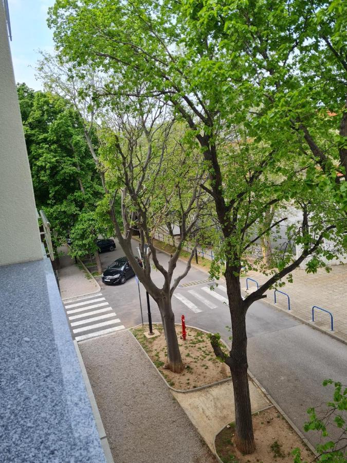 Apartment Alea سينج المظهر الخارجي الصورة